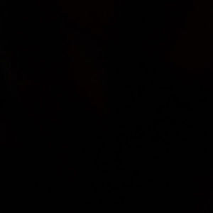 Meet your Posher, Janette